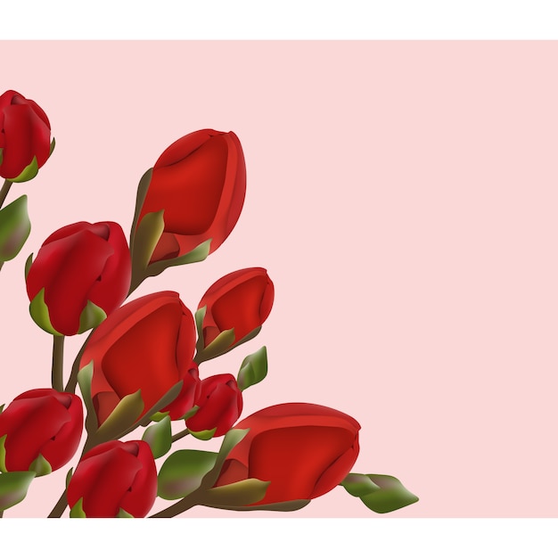 Red flowers on pink background