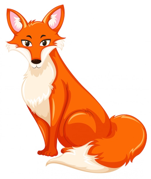 A red fox on white backgroud Premium Vector