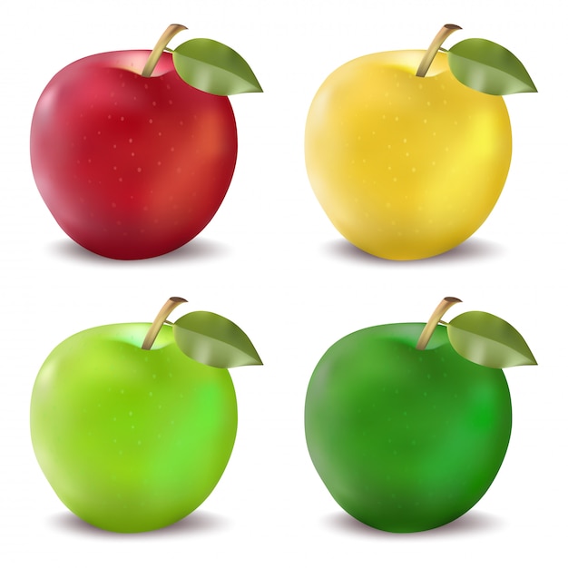 Premium Vector | Red and green apples set. photo-realistic vector ...