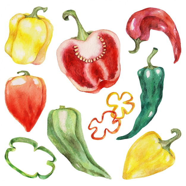 Premium Vector | Red and green peppers isolated