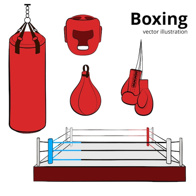 punch ball with gloves