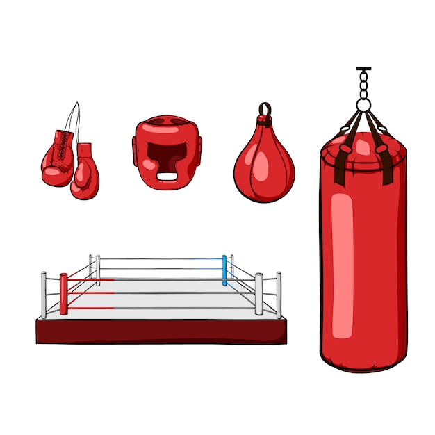 boxing equipment