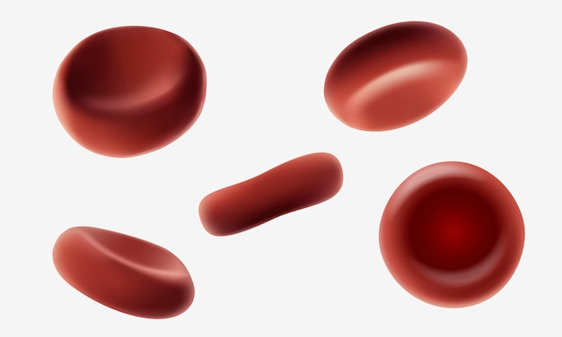 マクロを流れる赤いヒト血液細胞赤血球を3 Dのリアルな医療イラストを閉じる プレミアムベクター