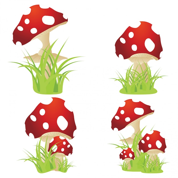 Premium Vector | Red mushroom with grass