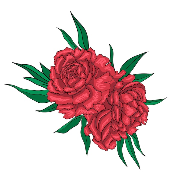 Premium Vector | Red peony flowers