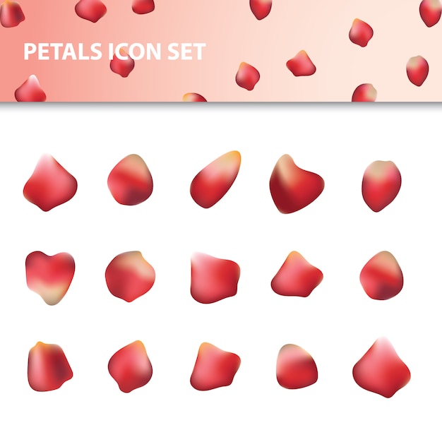 Red petal icon set  Vector | Free Download