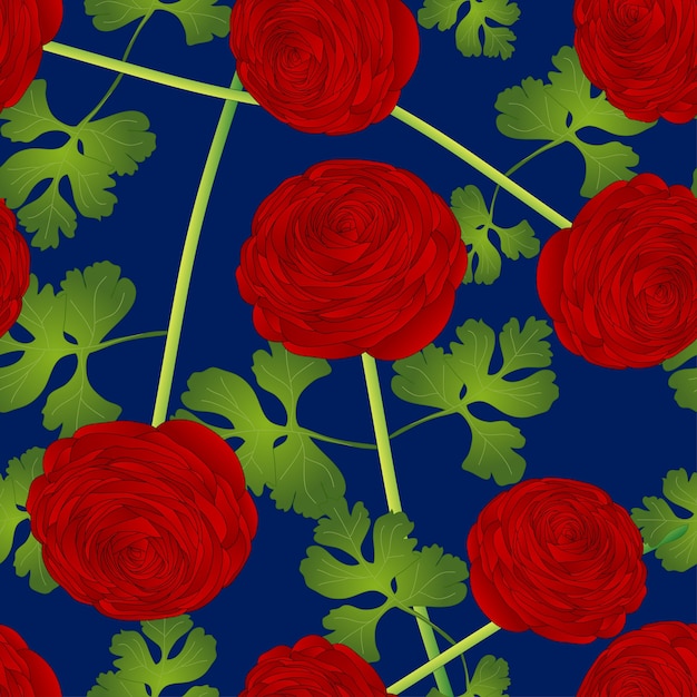 青い背景に赤いラナンキュラスの花 プレミアムベクター
