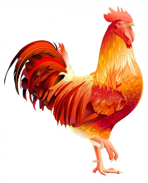 Premium Vector Red rooster symbol by chinese calendar