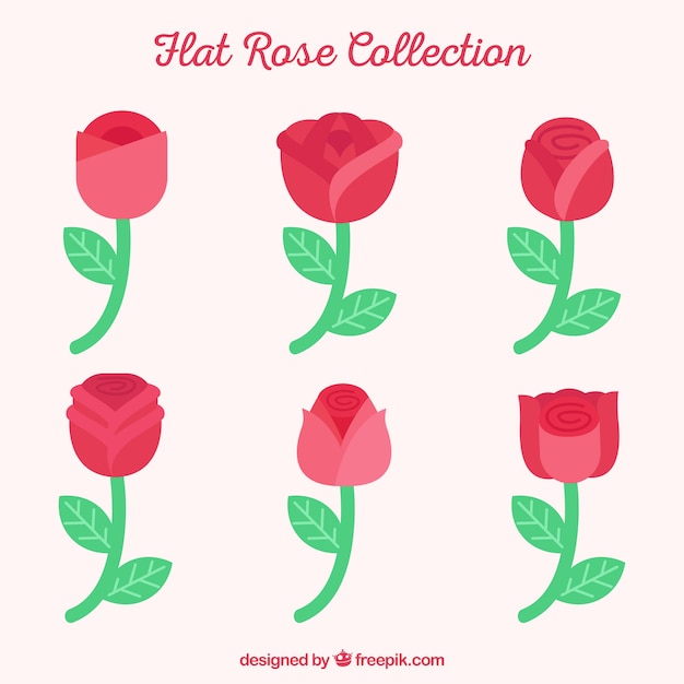Red rose collection