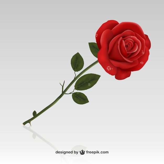 vector free download rose - photo #34