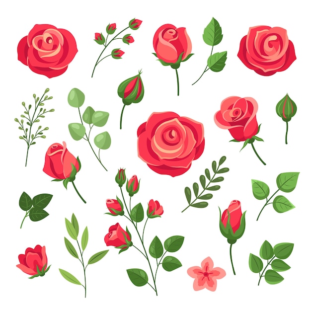 赤いバラ 緑の葉とつぼみのあるブルゴーニュのバラの花の花束 水彩花のロマンチックな装飾 孤立した漫画セット ピンクと赤の咲くバラ 枝の花の花のイラスト プレミアムベクター