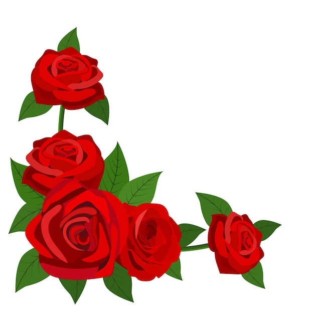 Premium Vector | Red roses with leaves isolated on a white background
