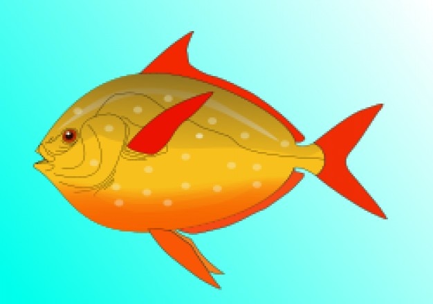 Red Fish Svg Free - 780+ Amazing SVG File - Free SVG Cut File for