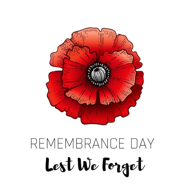 premium-vector-remembrance-day-card-with-sketch-poppy-realistic-red