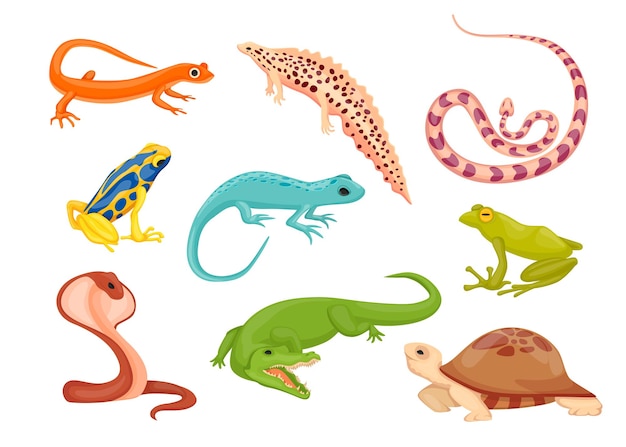 Premium Vector | Reptile And Amphibian Species Illustrations Set