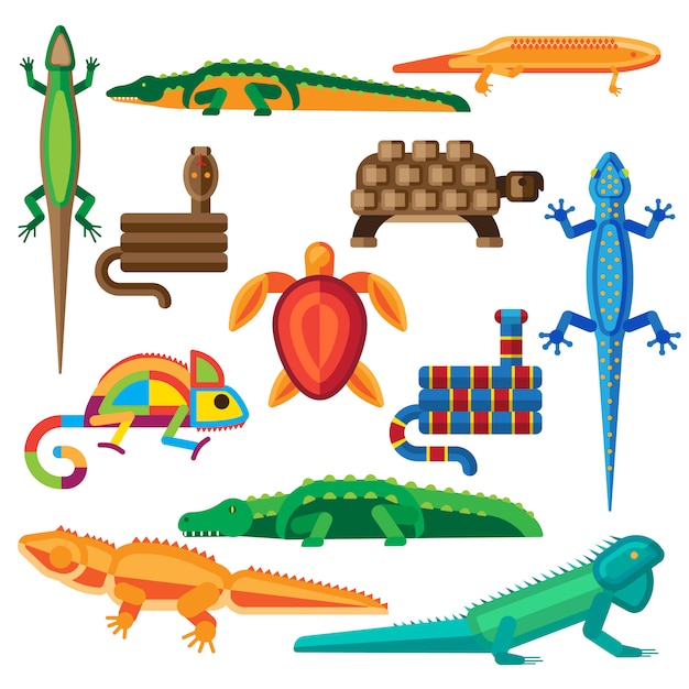 Premium Vector | Reptiles set.