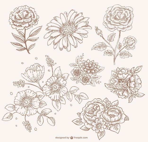 Retro sepia floral line art Vector | Free Download