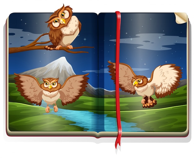 River scene with three owls in the book