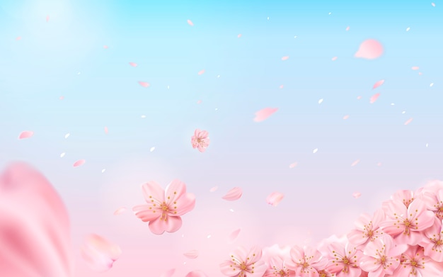 ロマンチックな桜の背景 イラストのピンクとブルーの背景に花が飛んで プレミアムベクター