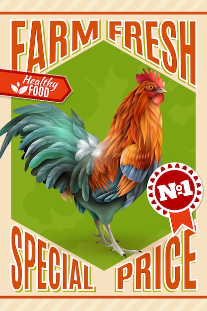 Download Rooster farm sale offer vintage poster Vector | Free Download