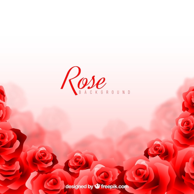 Rose background with blurred effect