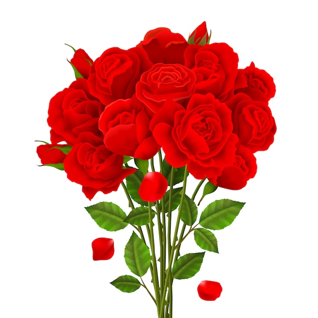 roses illustrator vector free download