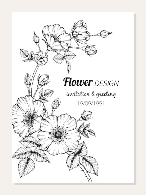 Premium Vector Rose Flower Frame Drawing Illustration