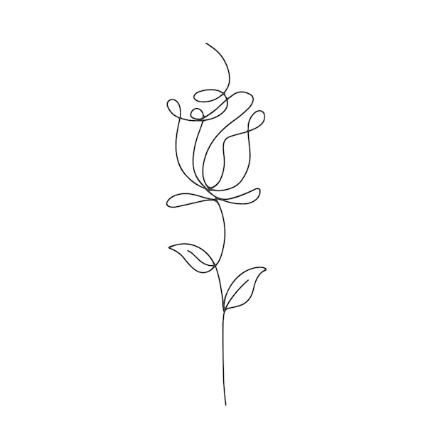 Premium Vector | Rose flower line art