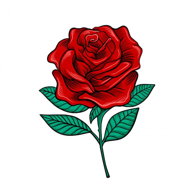 Free Free Rose Flower Svg 950 SVG PNG EPS DXF File
