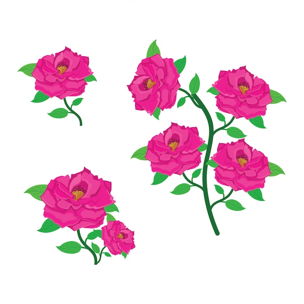 バラの花のイラスト プレミアムベクター