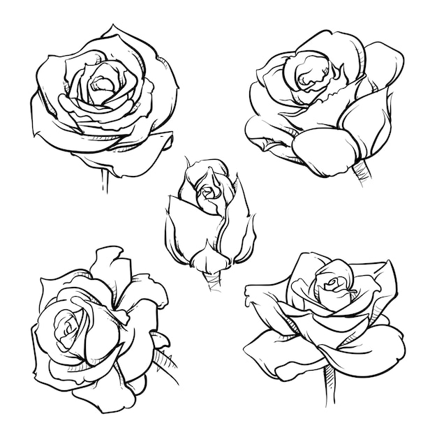 Rose flowers outline set. | Premium Vector