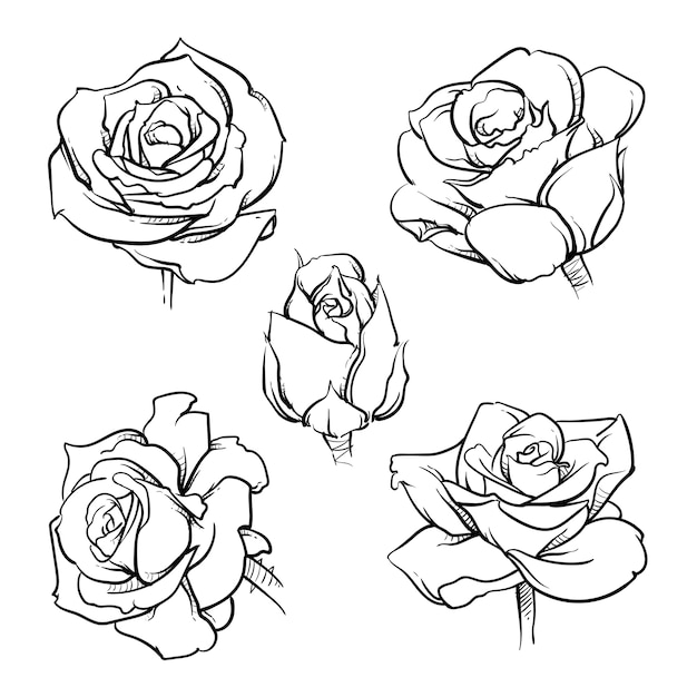 Free Free Flower Svg Outline 825 SVG PNG EPS DXF File