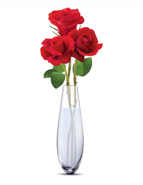 Download Premium Vector | Roses in a glass vase, isolated. realistic vector 3d illustration