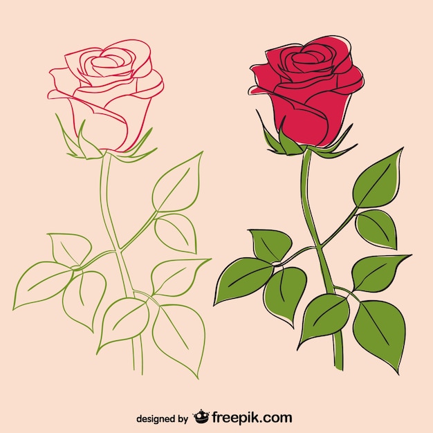 roses illustrator vector free download