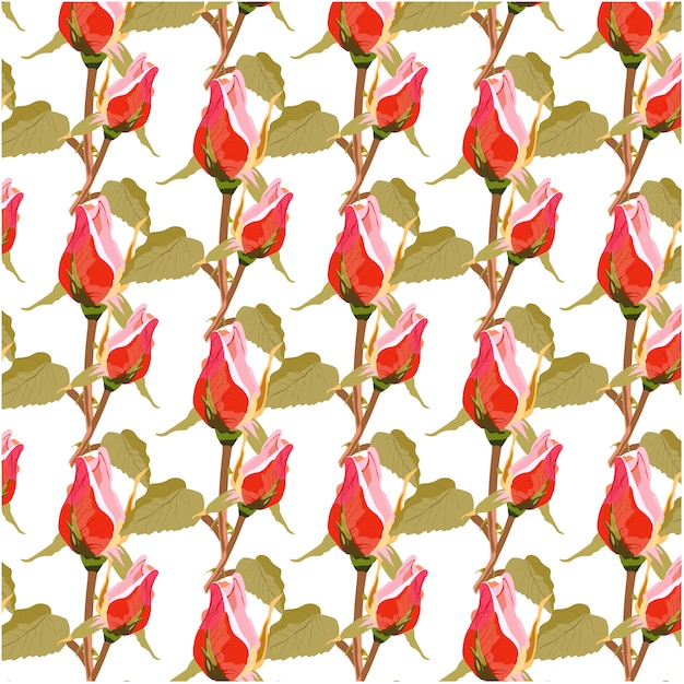 Roses pattern background