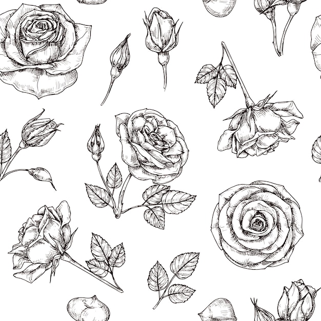 バラのシームレスなパターン 手描きのバラの花のモチーフ 花生地繰り返しベクトルヴィンテージ プレミアムベクター