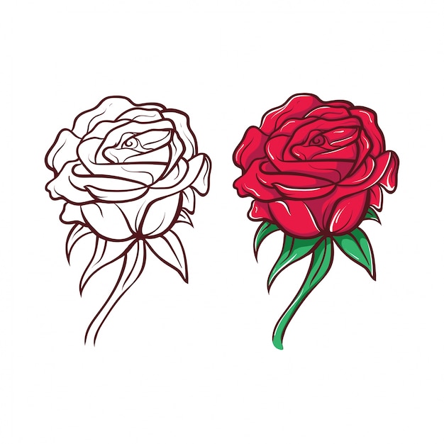 Premium Vector | Roses