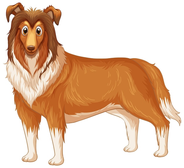 Premium Vector Rough Collie Dog Cartoon On White Background