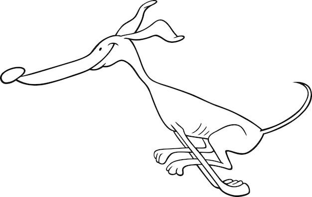 Premium Vector | Running greyhound cartoon for coloring