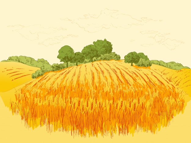 農村景観フィールド小麦イラスト プレミアムベクター
