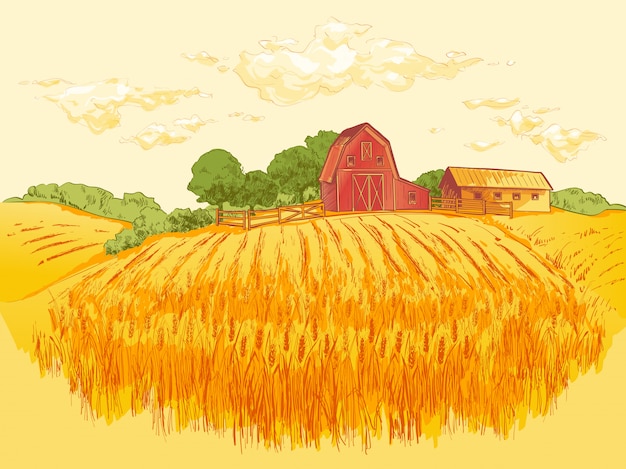 プレミアムベクター 農村景観フィールド小麦イラスト
