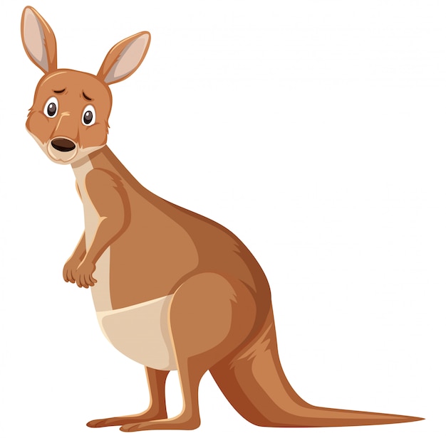 Premium Vector | Sad looking kangaroo standing on white