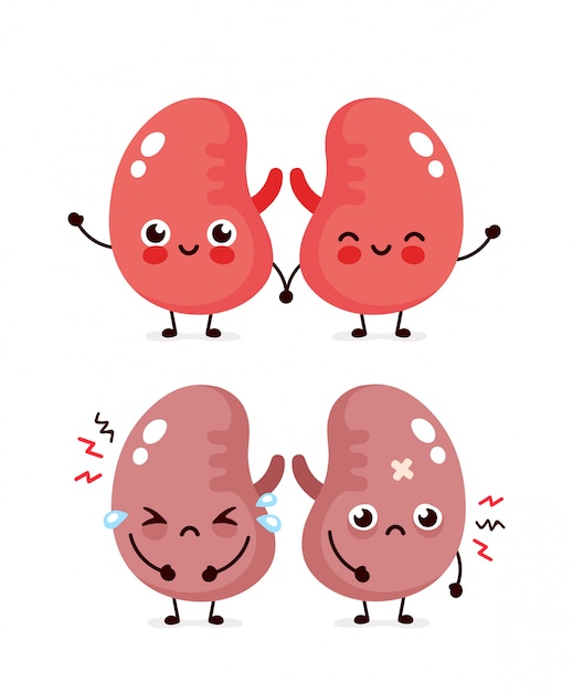 病気のキュートで健康的な幸せな笑顔の腎臓の文字に苦しんでいる悲しい フラット漫画イラストアイコンデザイン 白い背景で隔離されました 不健康な泣き声と幸せな腎臓のキャラクターのコンセプト プレミアムベクター