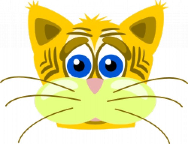 Sad tiger cat