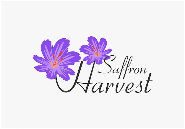 Premium Vector | Saffron harvest logo design inspirations