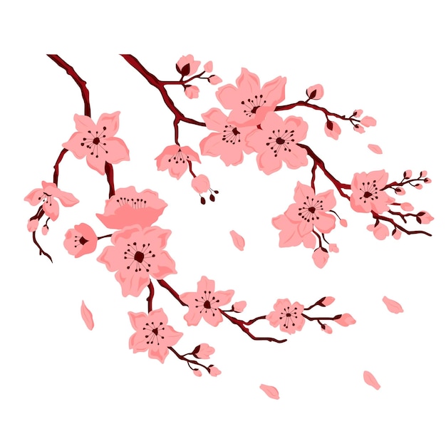 さくらの花 花とつぼみのある桜の枝 花びらが落ちる 白い背景で隔離のベクトル色フラット漫画イラスト プレミアムベクター
