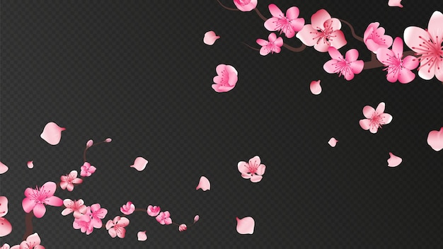 さくらの花 落ちてくる花びら 孤立した花の要素 飛んでいるリアルな日本のアプリコットやピンクの桜がロマンチックな壁に落ちます 枝花さくら 空飛ぶ花びらイラスト プレミアムベクター