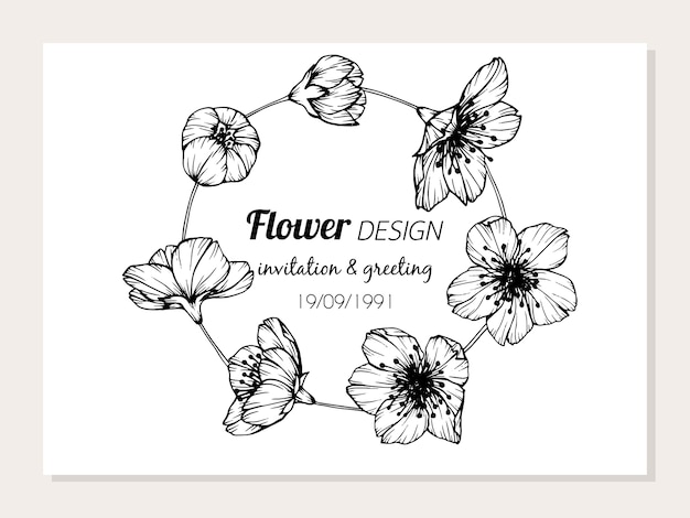 さくらの花のフレームのイラストのイラスト プレミアムベクター
