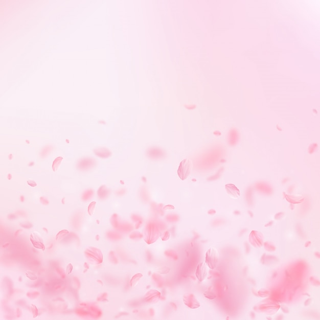 Premium Vector | Sakura petals falling down. romantic pink flowers