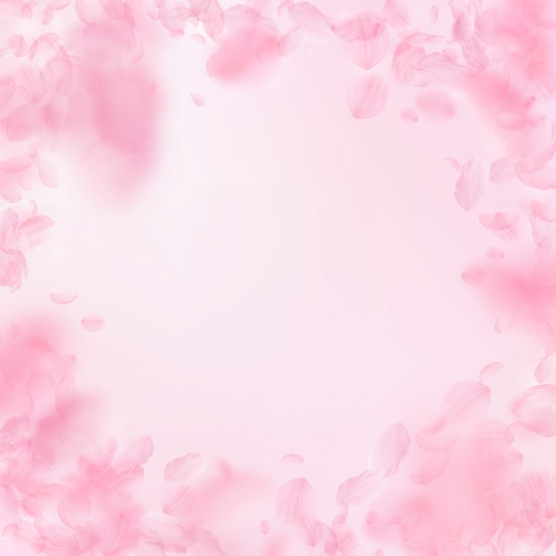 Premium Vector | Sakura petals falling down. romantic pink flowers ...